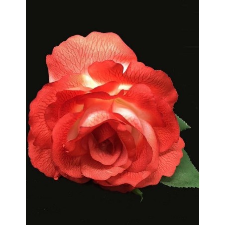 ROSA DEL SUR TEÑIDA