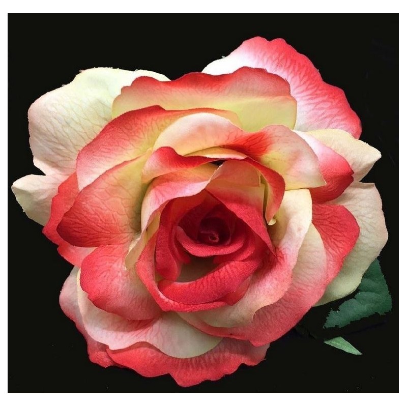 ROSA DEL SUR TEÑIDA