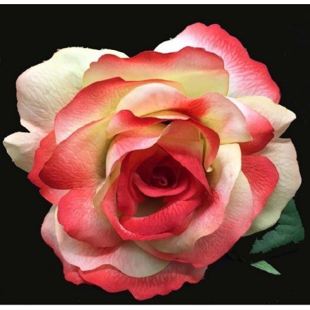 ROSA DEL SUR TEÑIDA