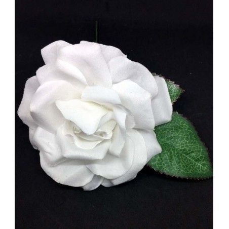 ROSA DANZA
