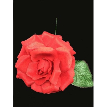 ROSA DANZA