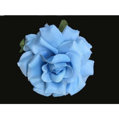 ROSA DANZA