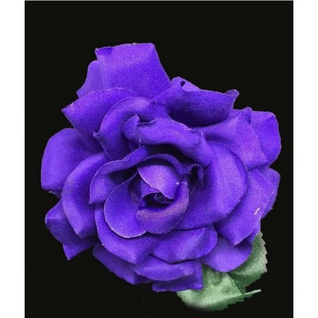 ROSA DANZA