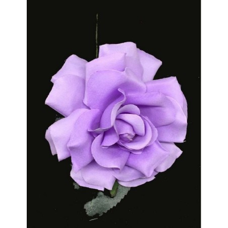 ROSA DANZA