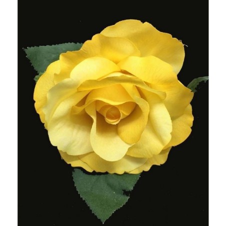 ROSA DANZA