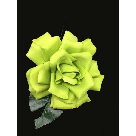 ROSA DANZA