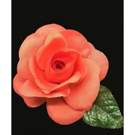 ROSA DANZA