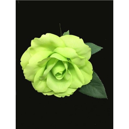 ROSA DANZA