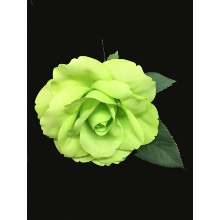 ROSA DANZA