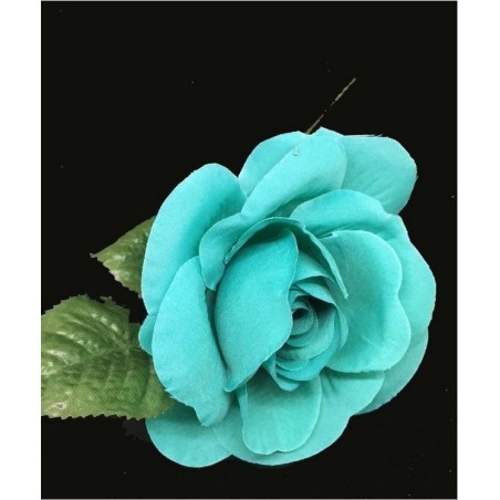 ROSA DANZA