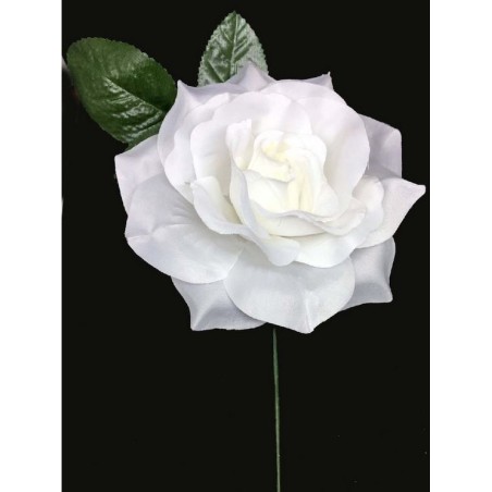 ROSA CON PALO GRANDE