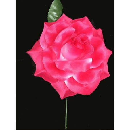ROSA CON PALO GRANDE