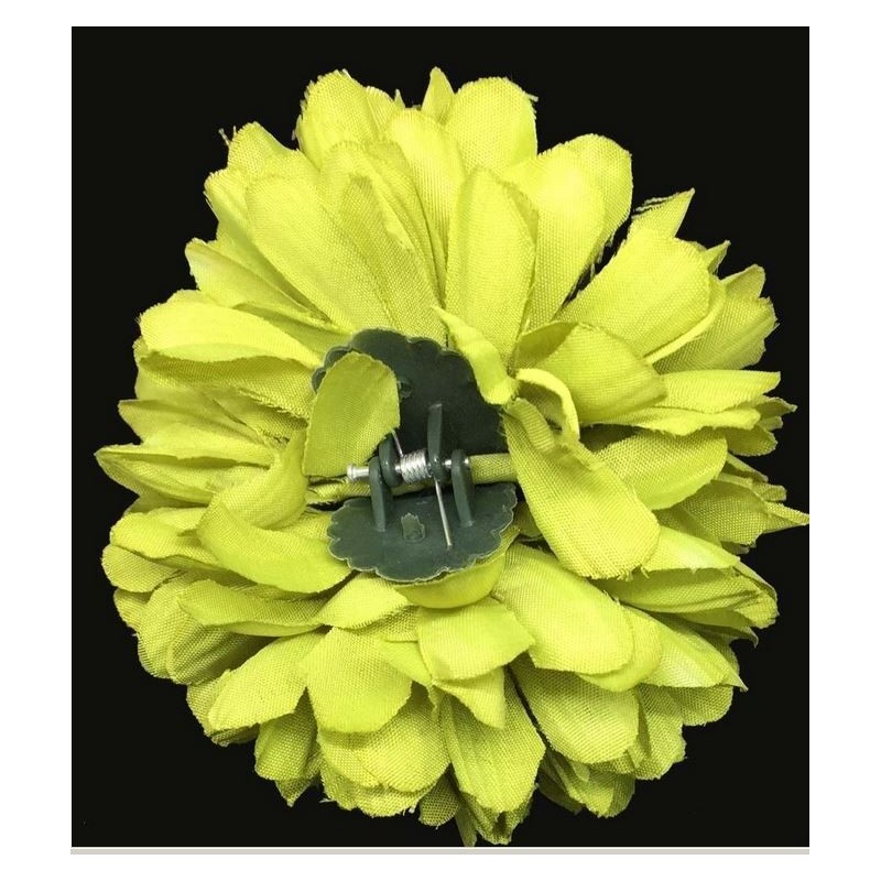 DALIA GRANDE CON PINZA