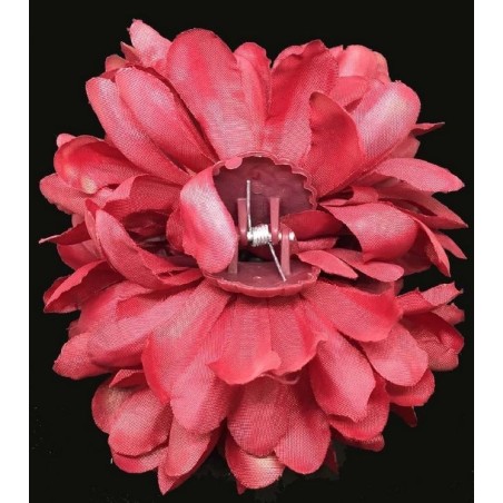 DALIA GRANDE CON PINZA