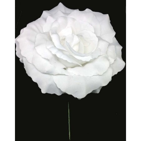 ROSA CON PALO