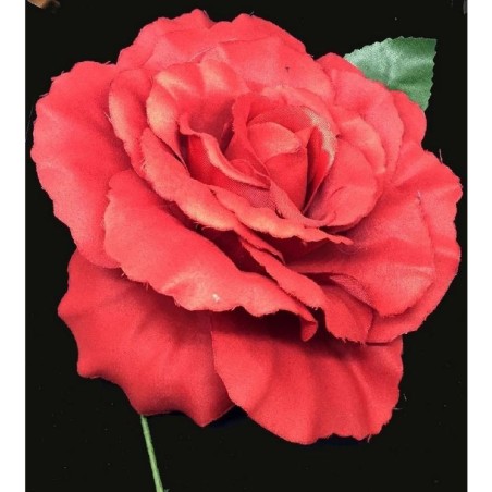 ROSA CON PALO