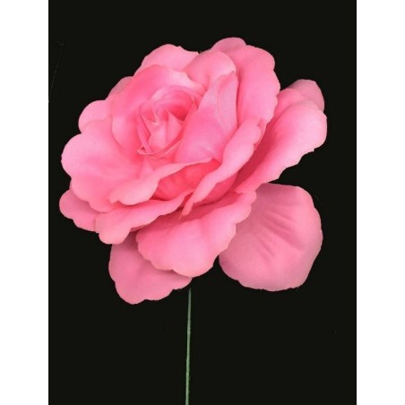 ROSA CON PALO