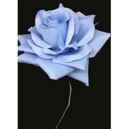 ROSA CON PALO