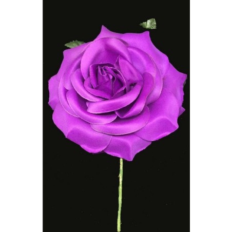 ROSA CON PALO