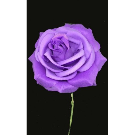 ROSA CON PALO