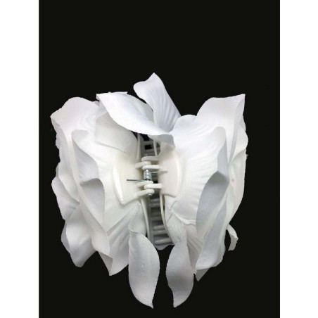 ROSA GRANDE PINZA