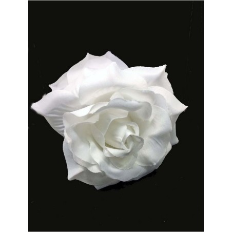 ROSA GRANDE PINZA