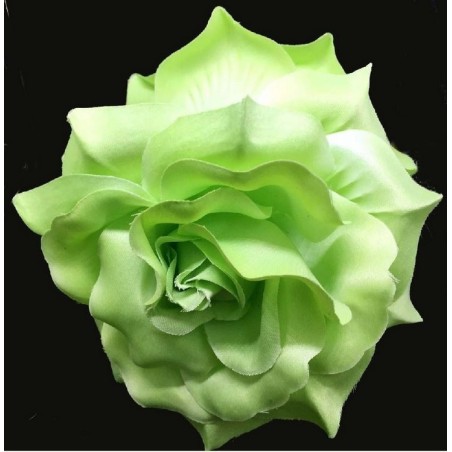 ROSA GRANDE PINZA