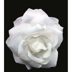 ROSA PEQUEÑA PINZA 2